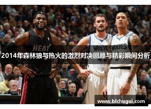 2014年森林狼与热火的激烈对决回顾与精彩瞬间分析